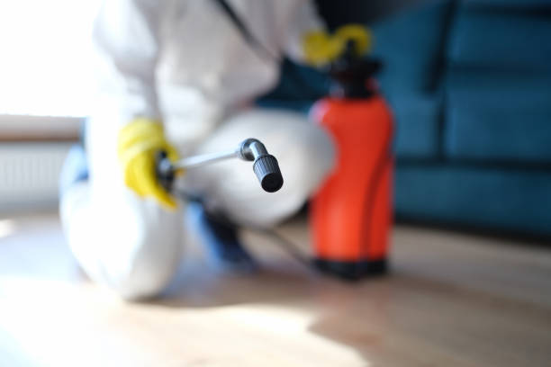 Mold Remediation for Vacation Homes in Middlesborough, KY